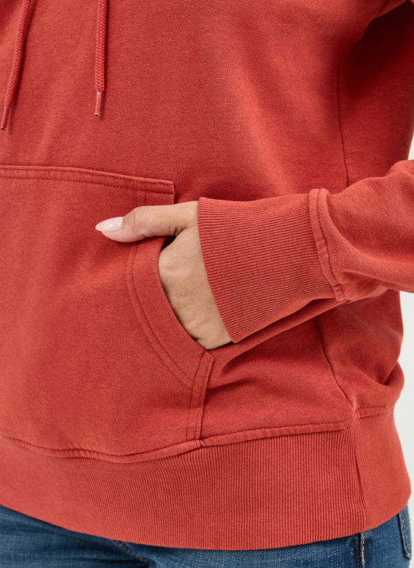 Image of Wrangler® Retro® Americana Hoodie