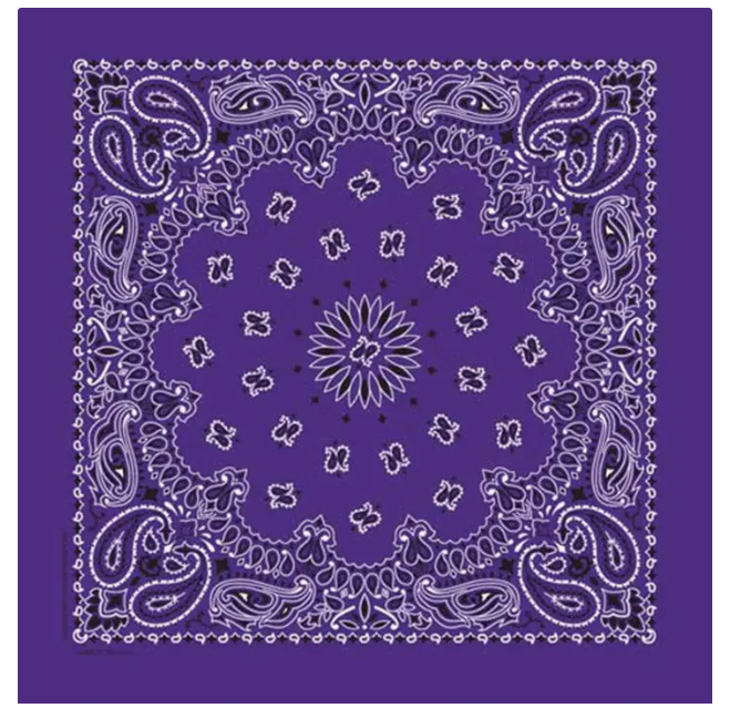 Image of Bandana Western Paisley | Plusieurs couleurs