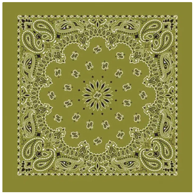 Image of Bandana Western Paisley | Plusieurs couleurs