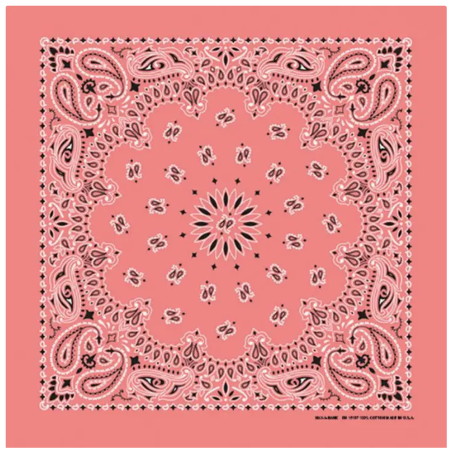 Image of Bandana Western Paisley | Plusieurs couleurs