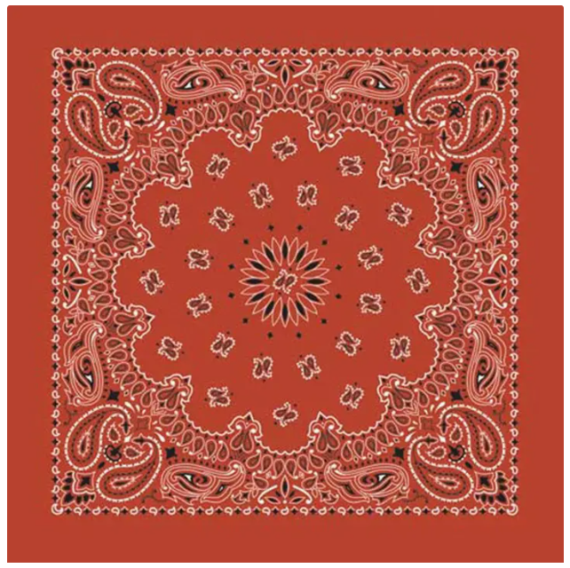 Image of Bandana Western Paisley | Plusieurs couleurs