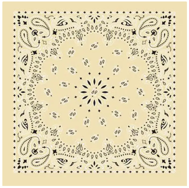 Image of Bandana Western Paisley | Plusieurs couleurs