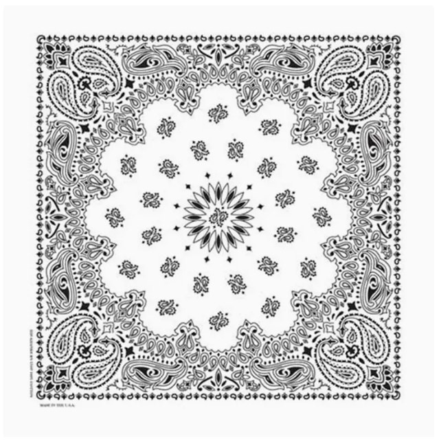 Image of Bandana Western Paisley | Plusieurs couleurs