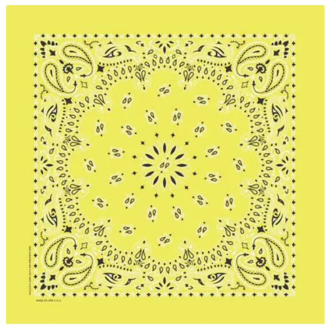 Image of Bandana Western Paisley | Plusieurs couleurs