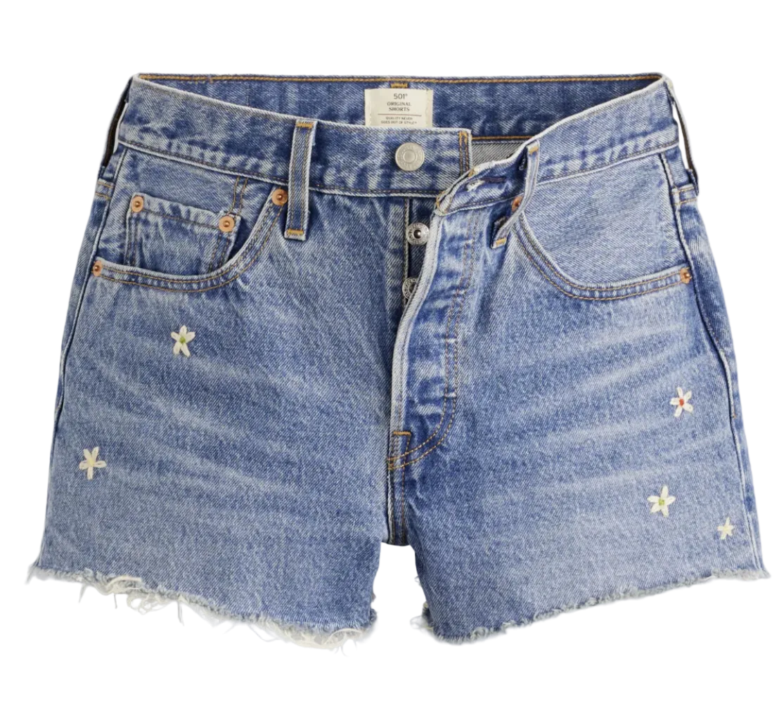 Image of Pair of denim shorts with floral embroidery on a white background